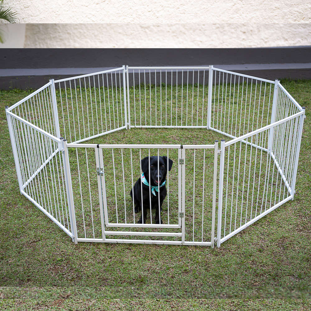 Cerca NF Pet Modular Branca com Portão - Branca