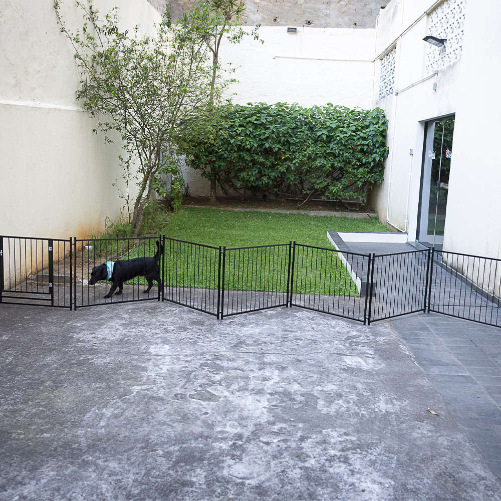 Cerca NF Pet Modular Preta com Portão - Preta