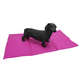 Tapete Gelado The Pets Brasil Rosa