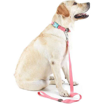 Coleira e Guia Toh Outdoor para Cães Fiji