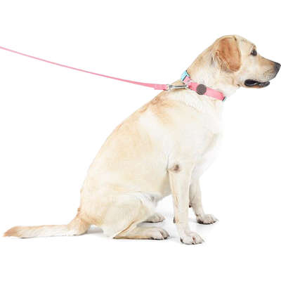 Coleira e Guia Toh Outdoor para Cães Fiji