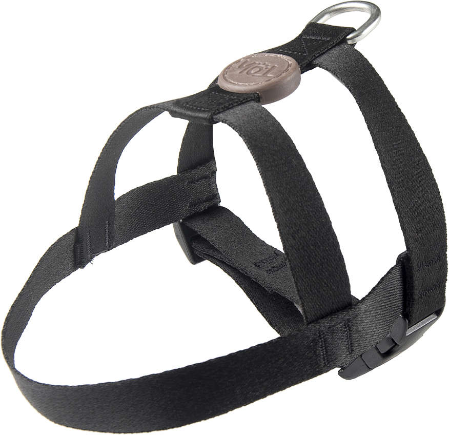 Peitoral e Guia Toh Outdoor Black - Tam. M