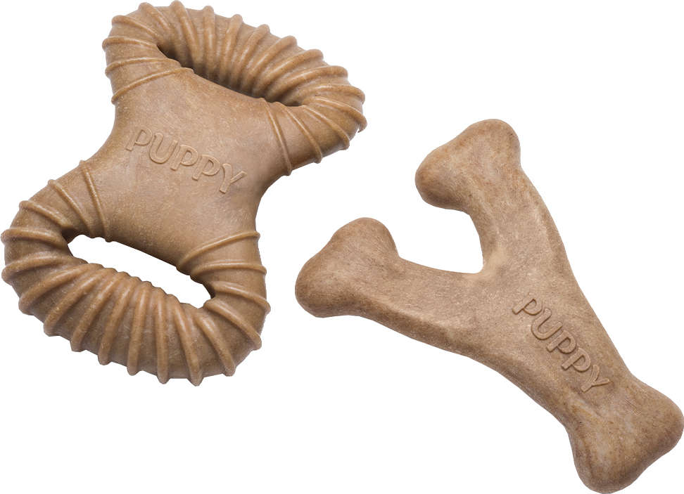 Brinquedo Benebone Puppy Pack Bacon (640400) - 2 Unidades
