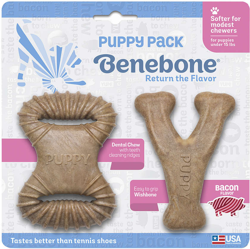 Brinquedo Benebone Puppy Pack Bacon (640400) - 2 Unidades