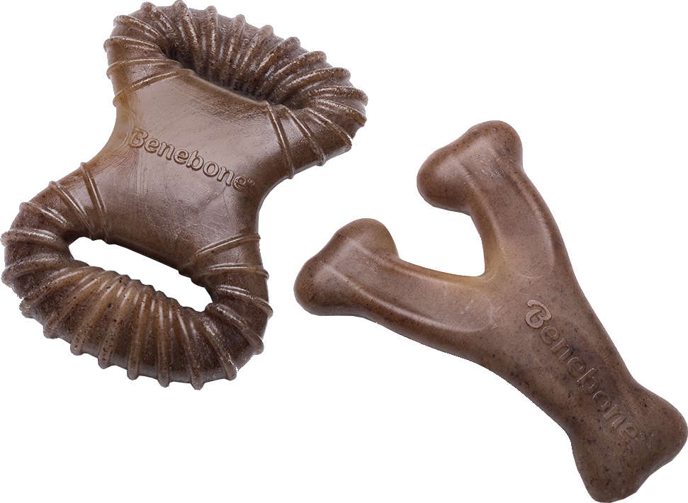 Brinquedo Benebone Tiny 2 Pack Bacon (645400) - 2 Unidades