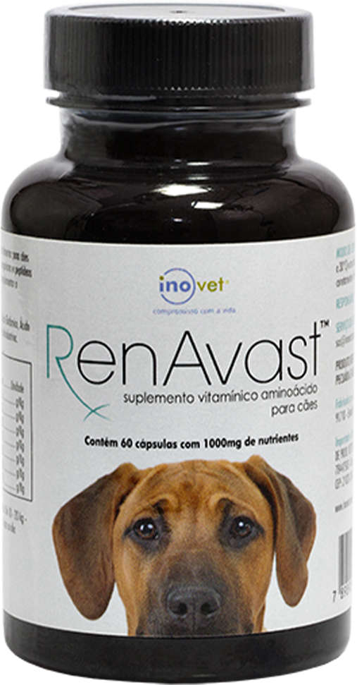 Suplemento Vitamínico Aminoácido Inovet RenAvast para Cães - 1000 mg