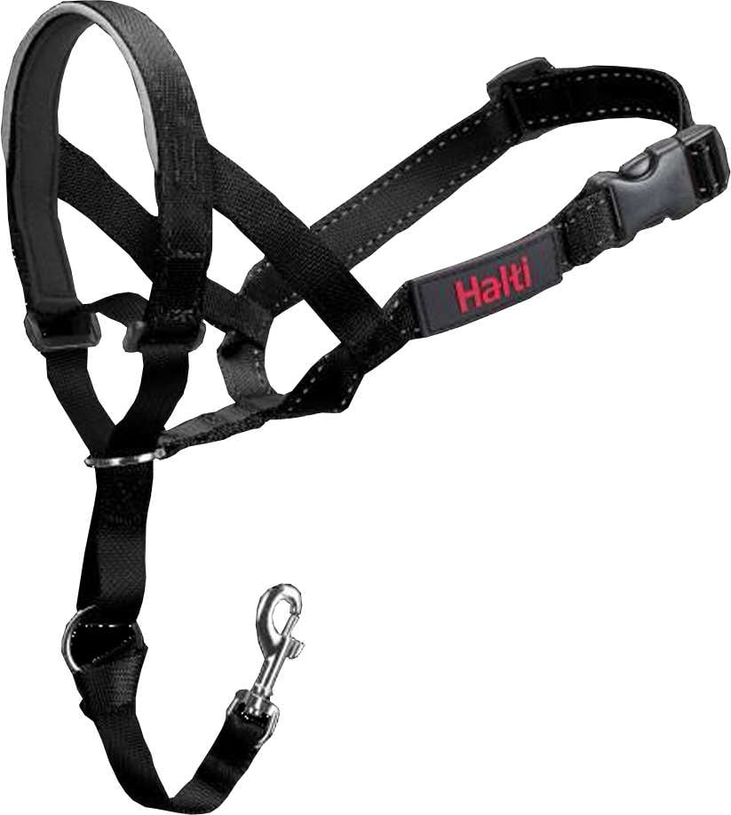 Coleira Halti Headcollar Preta (D11520A) para Cães - Tam. XXG