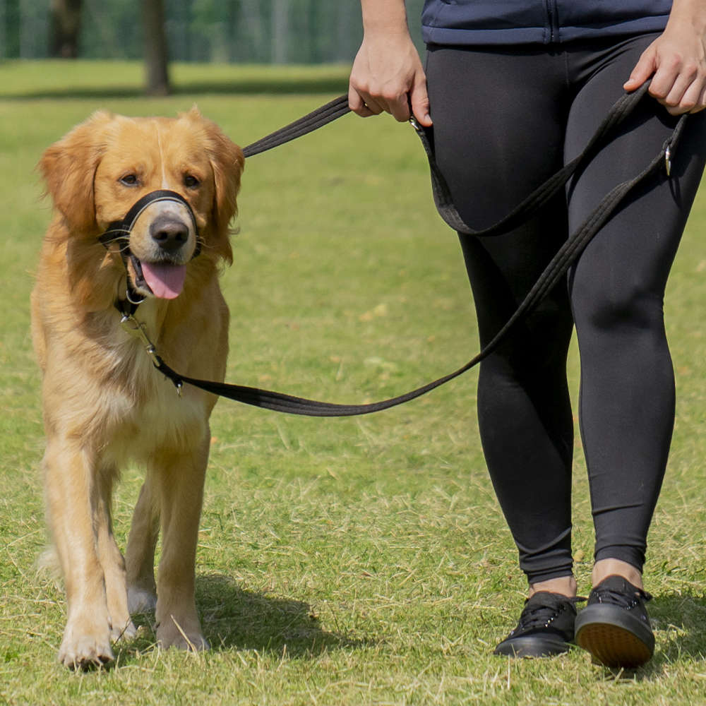 Coleira Halti Headcollar Preta (D11520A) para Cães - Tam. XXG