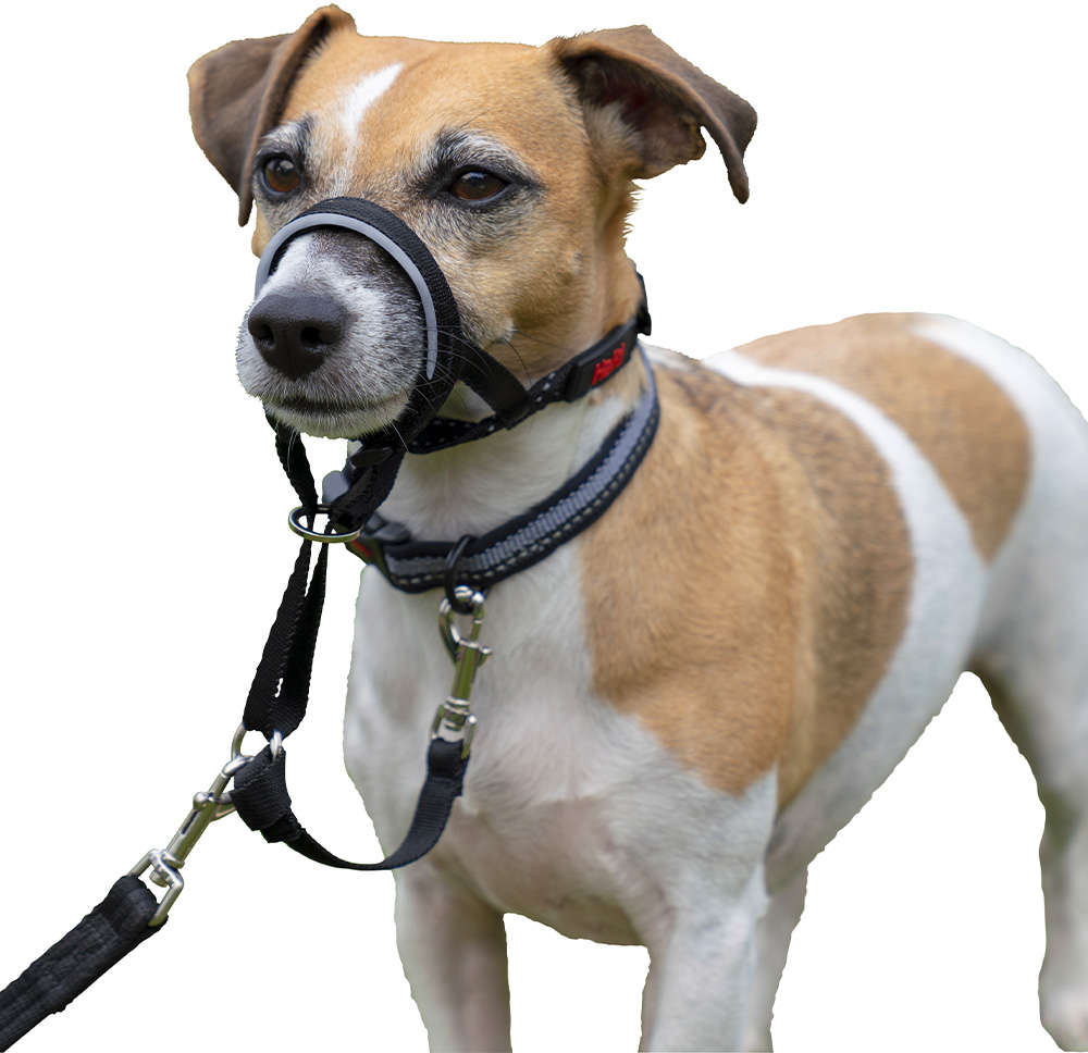 Coleira Halti Headcollar Preta (D11520A) para Cães - Tam. XXG