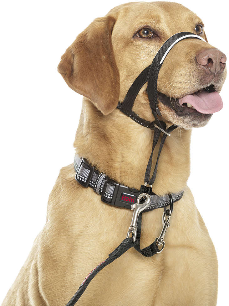 Coleira Halti Headcollar Preta (D11520A) para Cães - Tam. XXG