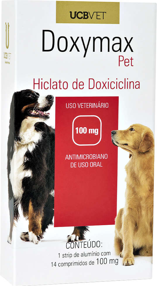 Antibiótico UCBVET Doxiciclina Doxymax Pet para Cães - 100 mg