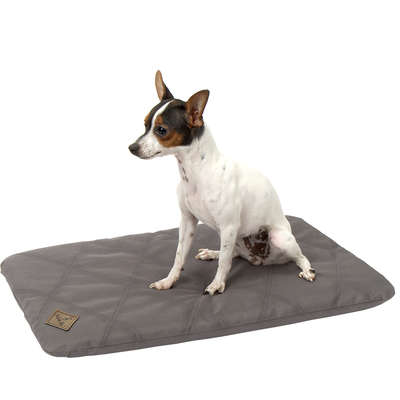 Colchonete Bichinho Chic Resistente Cinza