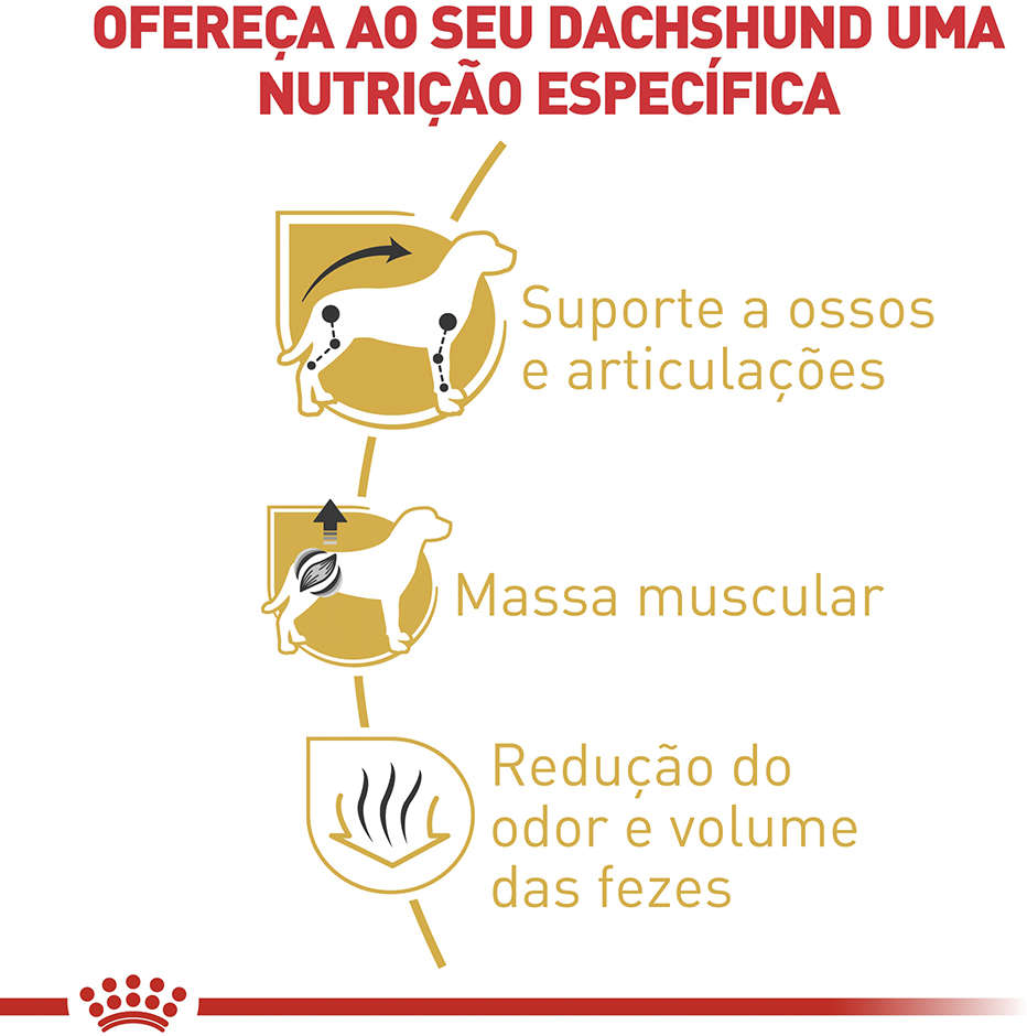 Ração Royal Canin para Cães Adultos da Raça Dachshund - 7,5Kg