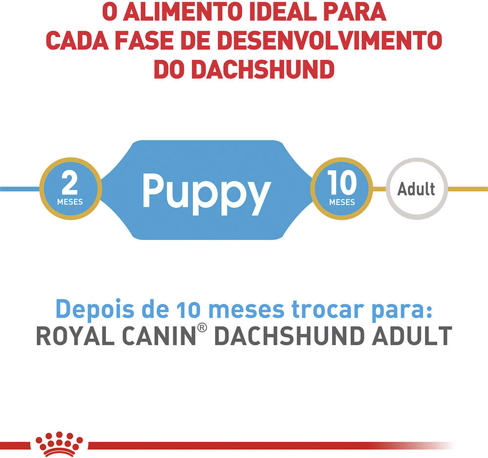 Ração Seca Royal Canin Puppy Dachshund para Cães Filhotes - 2,5Kg