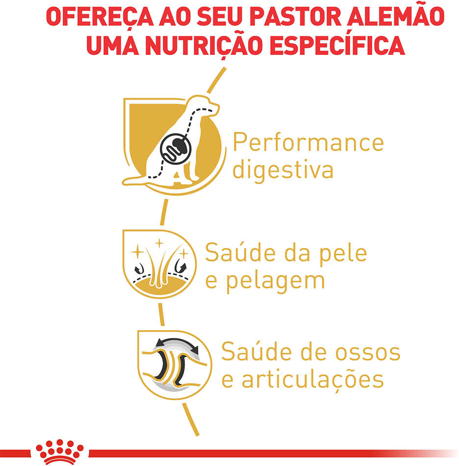 Ração Royal Canin para Cães Adultos da Raça Pastor Alemão - 10,1Kg