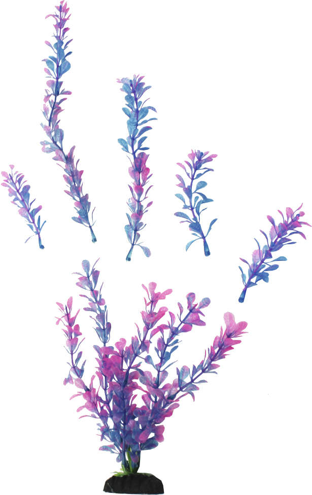 Planta Plástica Soma Economy Rosa e Azul (Mod.423) - 10 cm