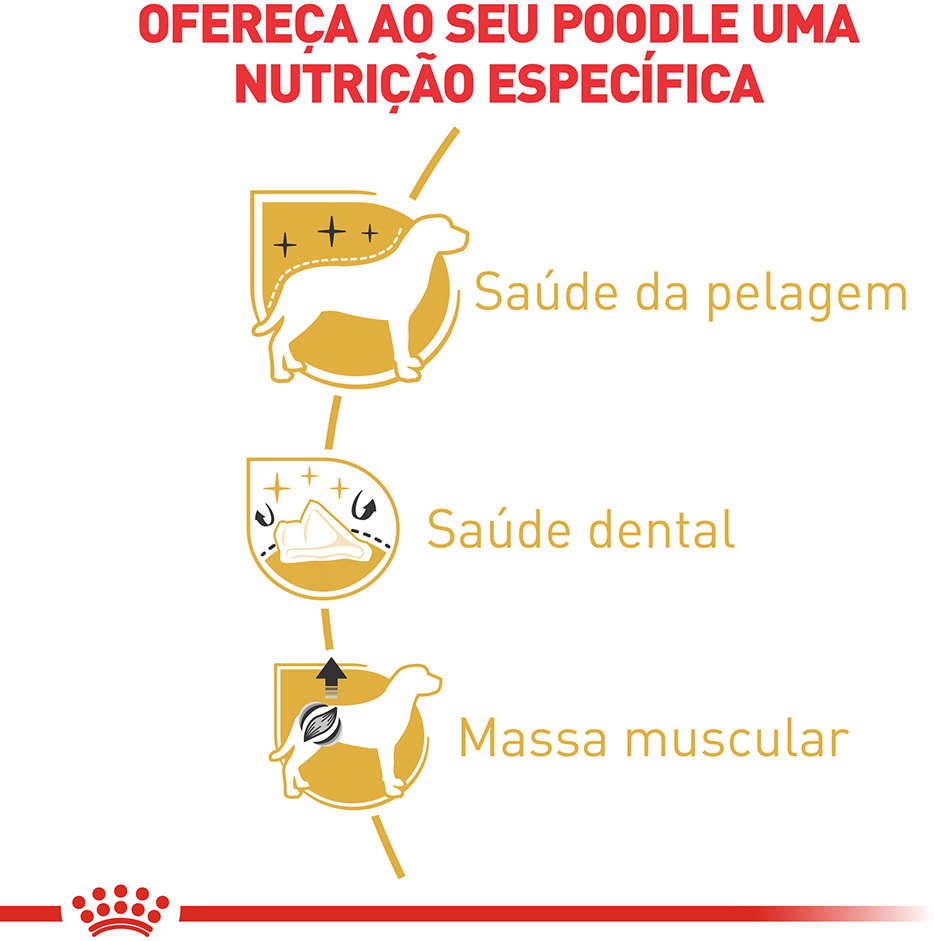 Ração Royal Canin para Cães Adultos da Raça Poodle - 2,5Kg