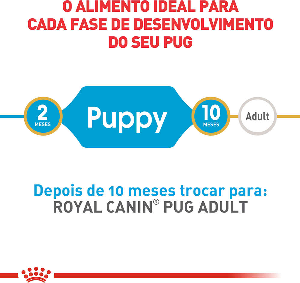Ração Seca Royal Canin Puppy Pug para Cães Filhotes - 2,5Kg