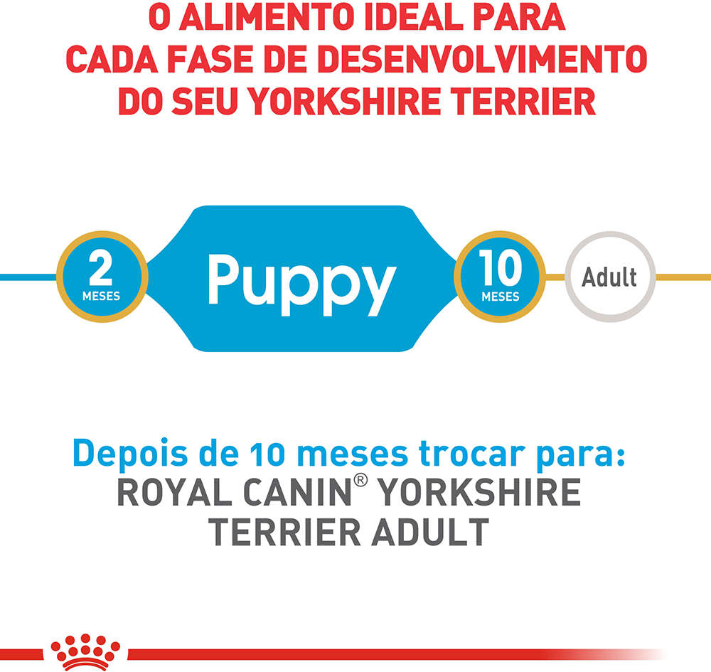 Ração Seca Royal Canin Puppy Yorkshire Terrier para Cães Filhotes - 500 g