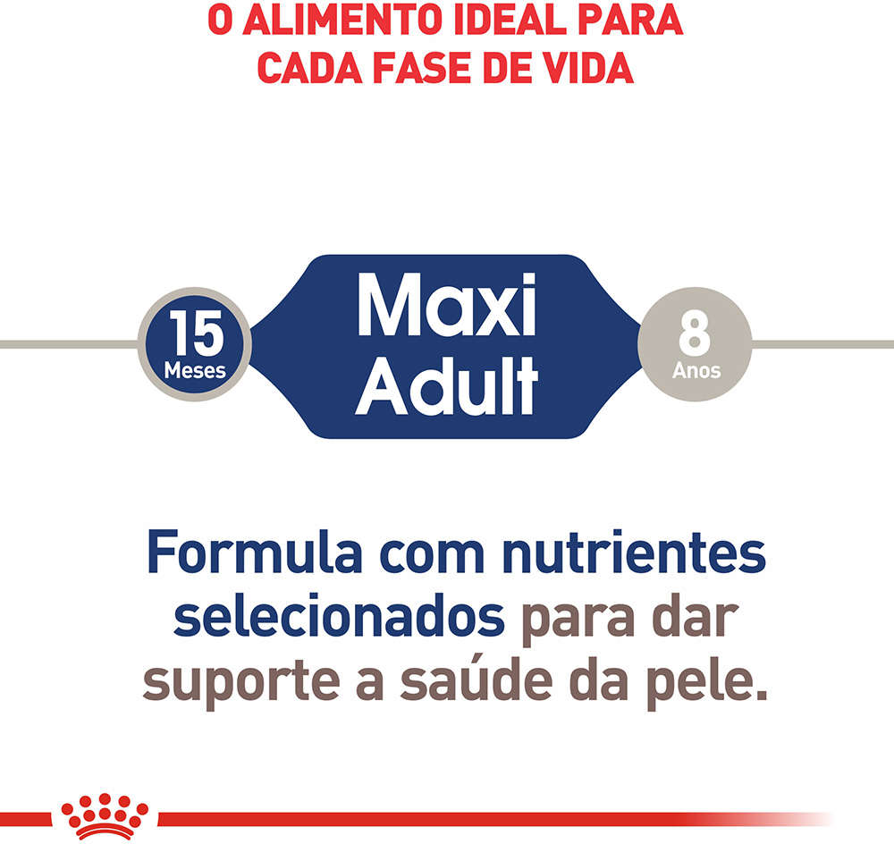 Ração Úmida Royal Canin Sachê Size Health Nutrition Adult Wet para Cães Adultos Raças Grandes - 140 g