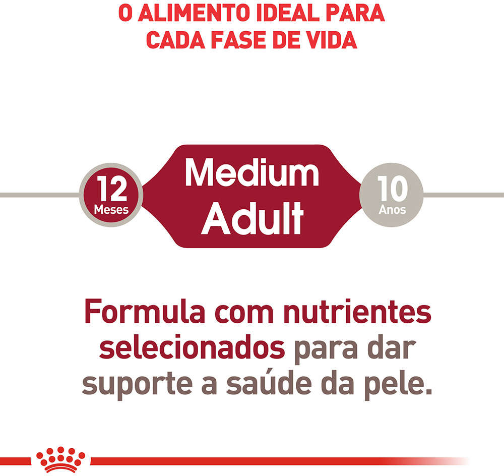 Ração Úmida Royal Canin Sachê Size Health Nutrition Wet para Cães Adultos Raças Médias - 140 g