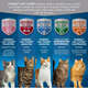Ração Nestlé Purina Cat Chow Gatos Exigentes Frango Carne e Atum