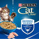 Ração Úmida Nestlé Purina Cat Chow Sachê Castrados Peixe ao Molho