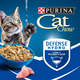 Ração Úmida Nestlé Purina Cat Chow Sachê Adultos Frango ao Molho