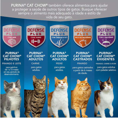 Ração Nestlé Purina Cat Chow Adultos Ambientes Internos Frango