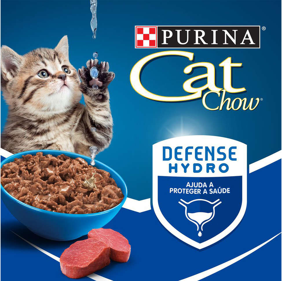 Ração Úmida Nestlé Purina Cat Chow Sachê Filhotes Carne ao Molho - 85 g