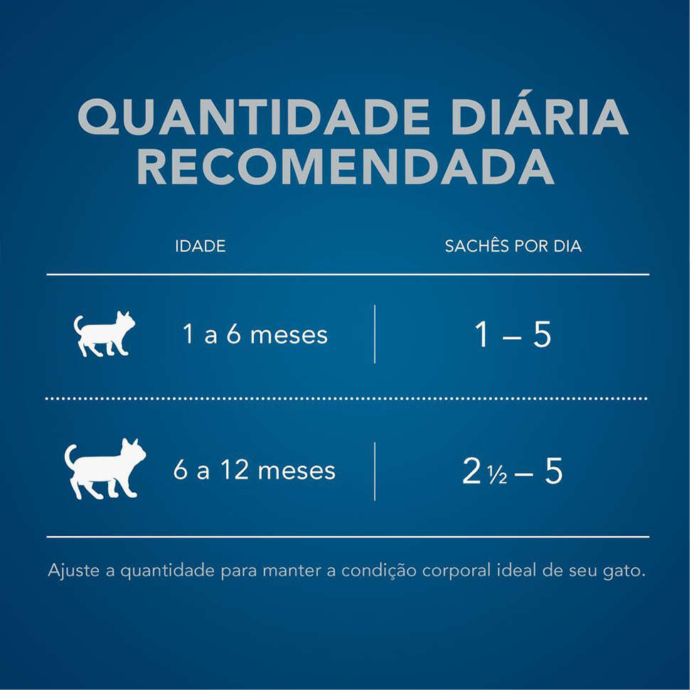 Ração Úmida Nestlé Purina Cat Chow Sachê Filhotes Carne ao Molho - 85 g