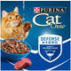 Ração Úmida Nestlé Purina Cat Chow Sachê Adultos 7+ Carne ao Molho