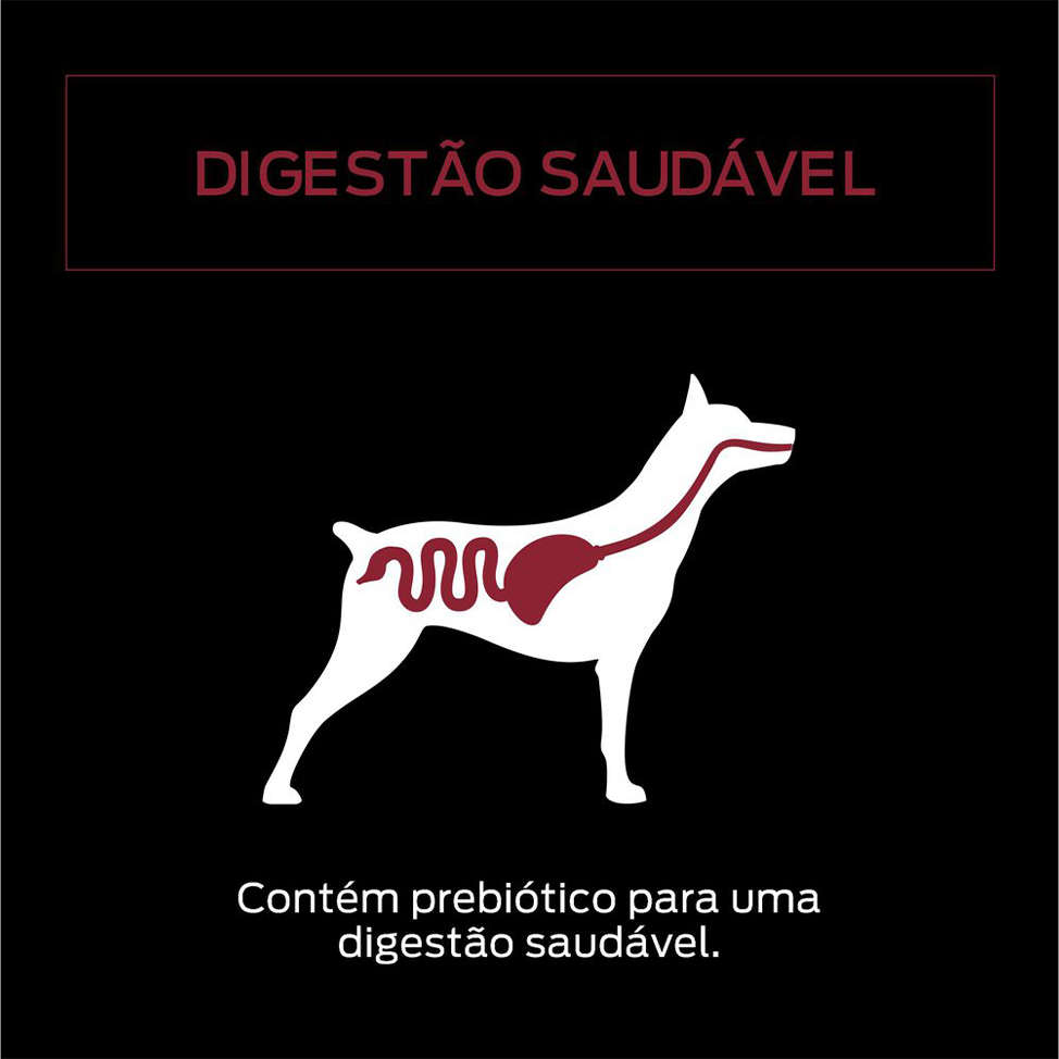Ração Úmida Nestlé Purina Pro Plan Carne ao Molho Cães Adultos - 100 g