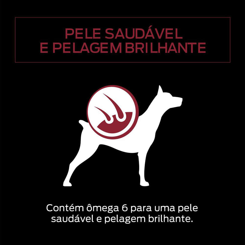 Ração Úmida Nestlé Purina Pro Plan Carne ao Molho Cães Adultos - 100 g