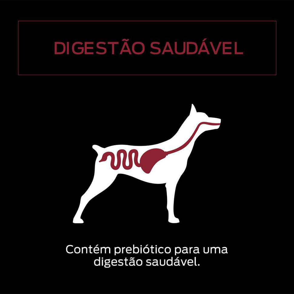 Ração Úmida Nestlé Purina Pro Plan Frango ao Molho Cães Adultos - 100 g