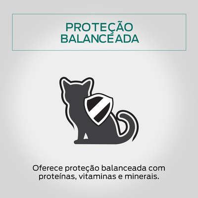 Ração Úmida Nestlé Purina Pro Plan Frango ao Molho para Gatos Filhotes