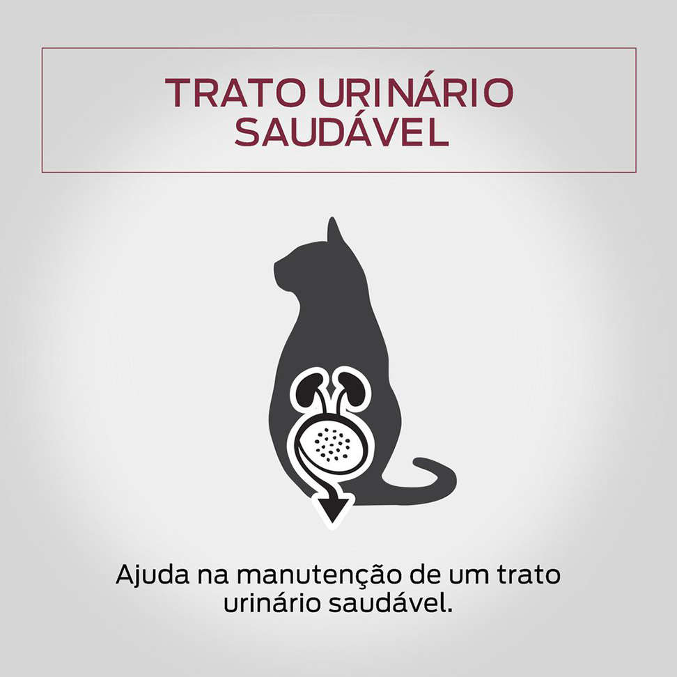 Ração Úmida Nestlé Purina Pro Plan Salmão ao Molho para Gatos Adultos - 85 g