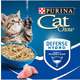 Ração Úmida Nestlé Purina Cat Chow Sachê Filhotes Frango ao Molho