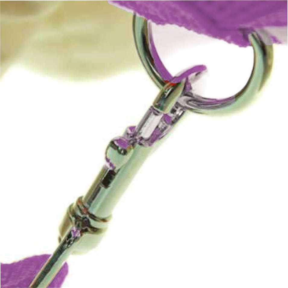 Guia e Peitoral American Pets Confort Rosa - Tam. XXG