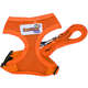 Guia e Peitoral American Pets Confort Laranja