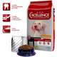 Ração Selecta Dog Excellence Cães Adultos Raças Grandes Frango e Arroz - 15 Kg