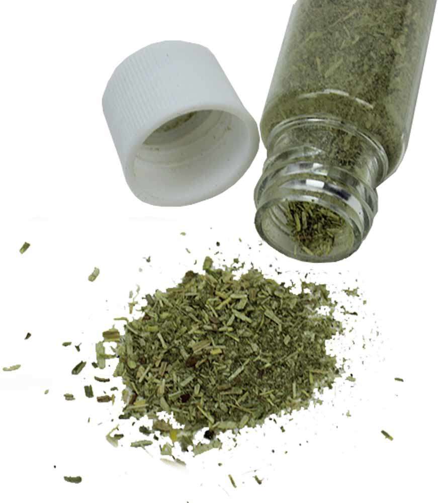 Catnip Chalesco Erva de Gato - 10 g