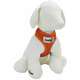 Guia e Peitoral American Pets Confort Laranja