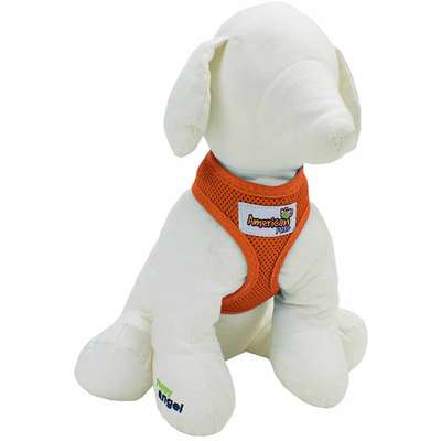 Guia e Peitoral American Pets Confort Laranja