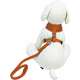 Guia e Peitoral American Pets Confort Laranja
