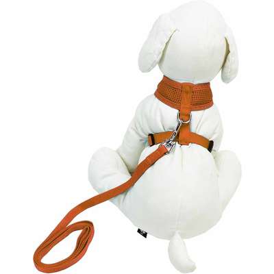 Guia e Peitoral American Pets Confort Laranja