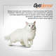 Ração Nestlé Purina Pro Plan Cat Sensitive para Gatos Adultos com Pele Sensível