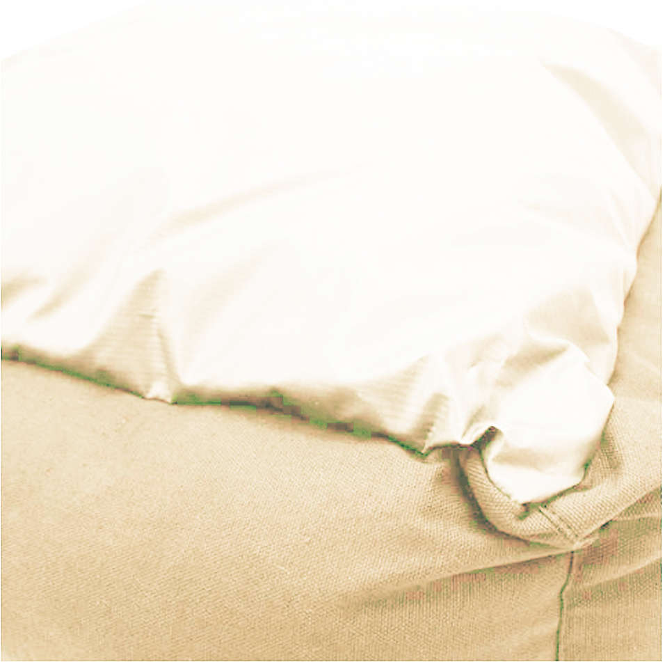Cama Bichinho Chic Londres Bege - Tam. GG