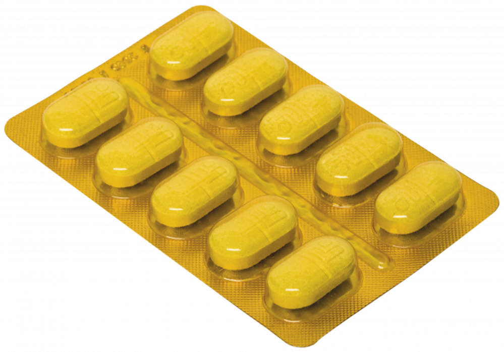 Antioxidante Labyes Gerioox Condroprotetor para Cães e Gatos - 30 comprimidos
