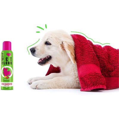 Banho a Seco Pet Clean Dry Shampoo - 150 mL